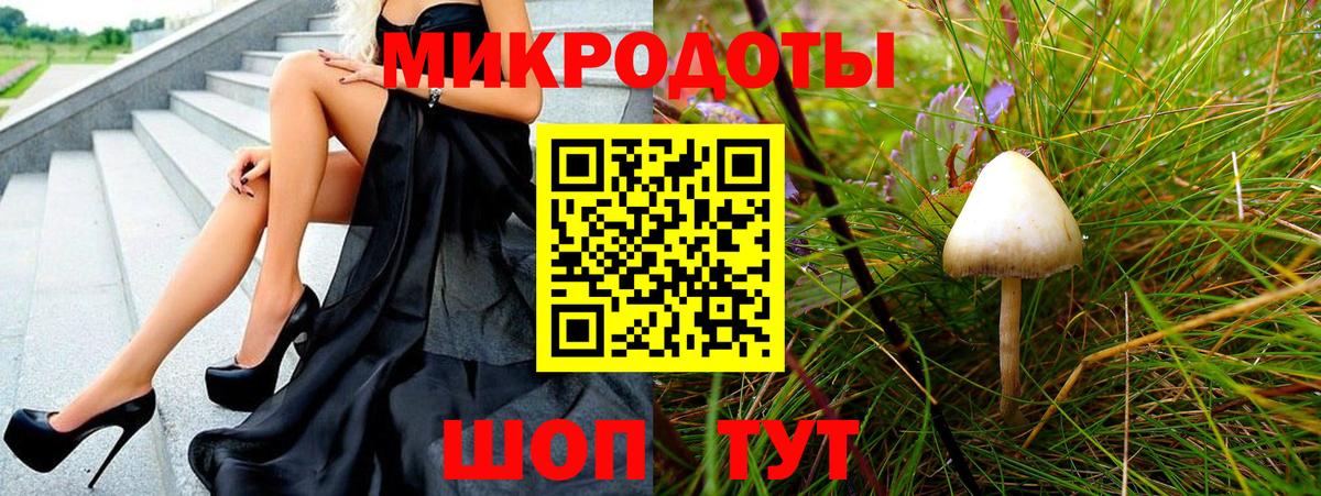 Псилоцибиновые грибы мицелий Краснознаменск