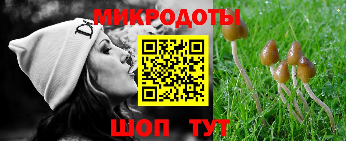 Краснознаменск  Псилоцибиновые грибы Psilocybine cubensis  что такое   Вход с VPN 